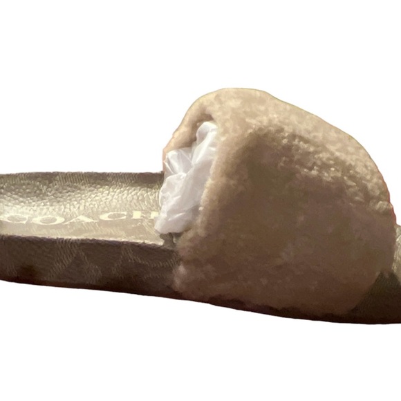 Coach - Picture 2 of 3